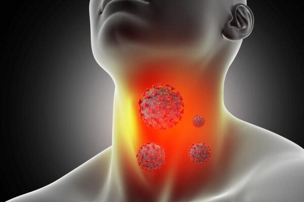 The Thyroid : Your Body’s Silent Regulator thyroid