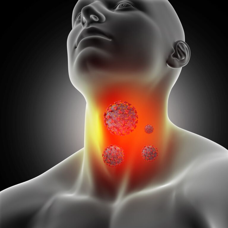 The Thyroid : Your Body’s Silent Regulator