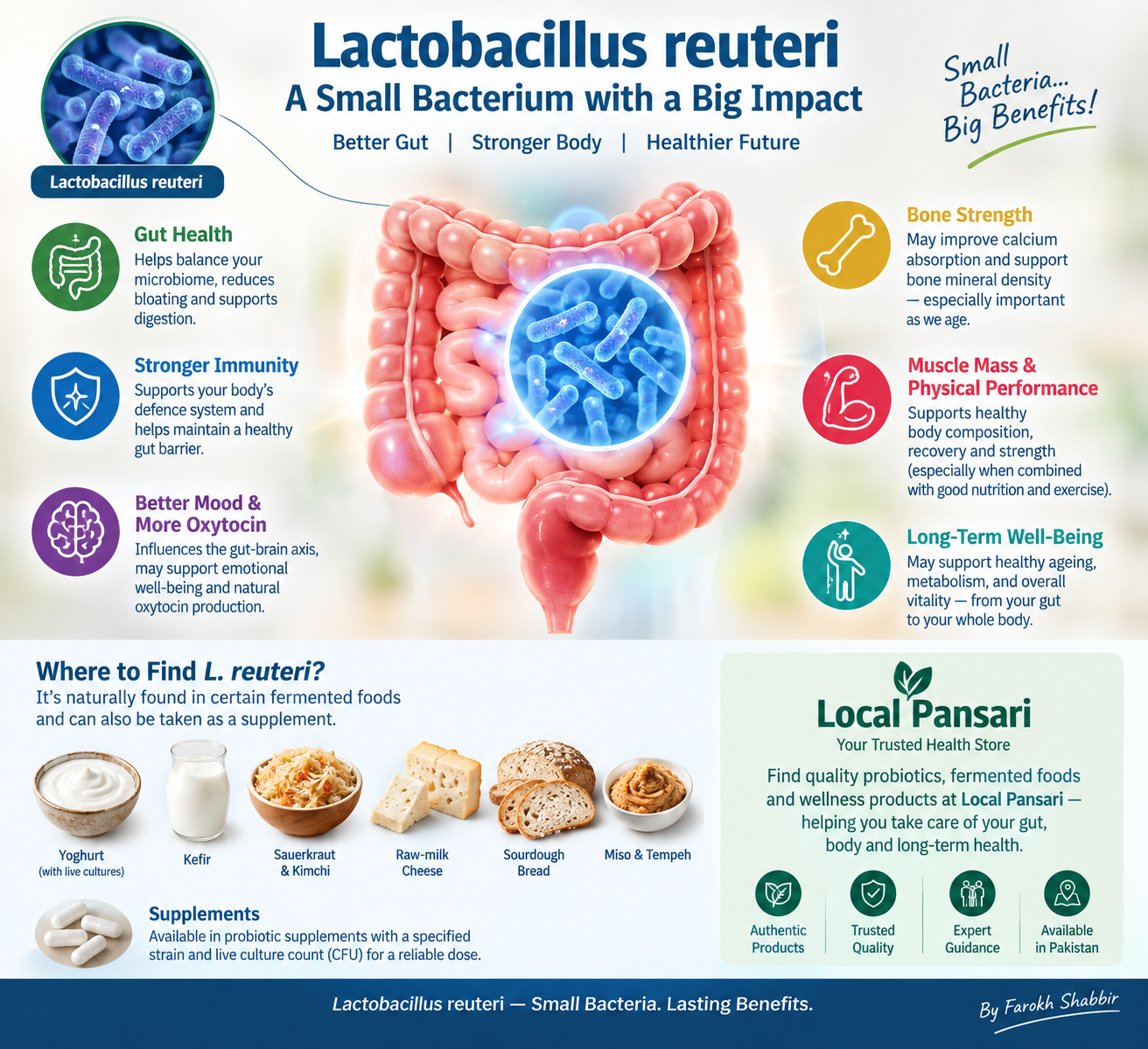 Lactobacillus reuteri